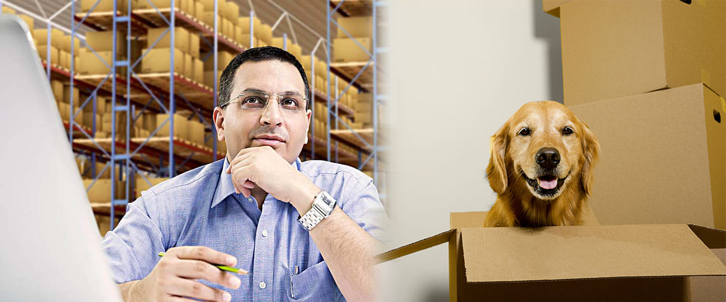 packers and movers service